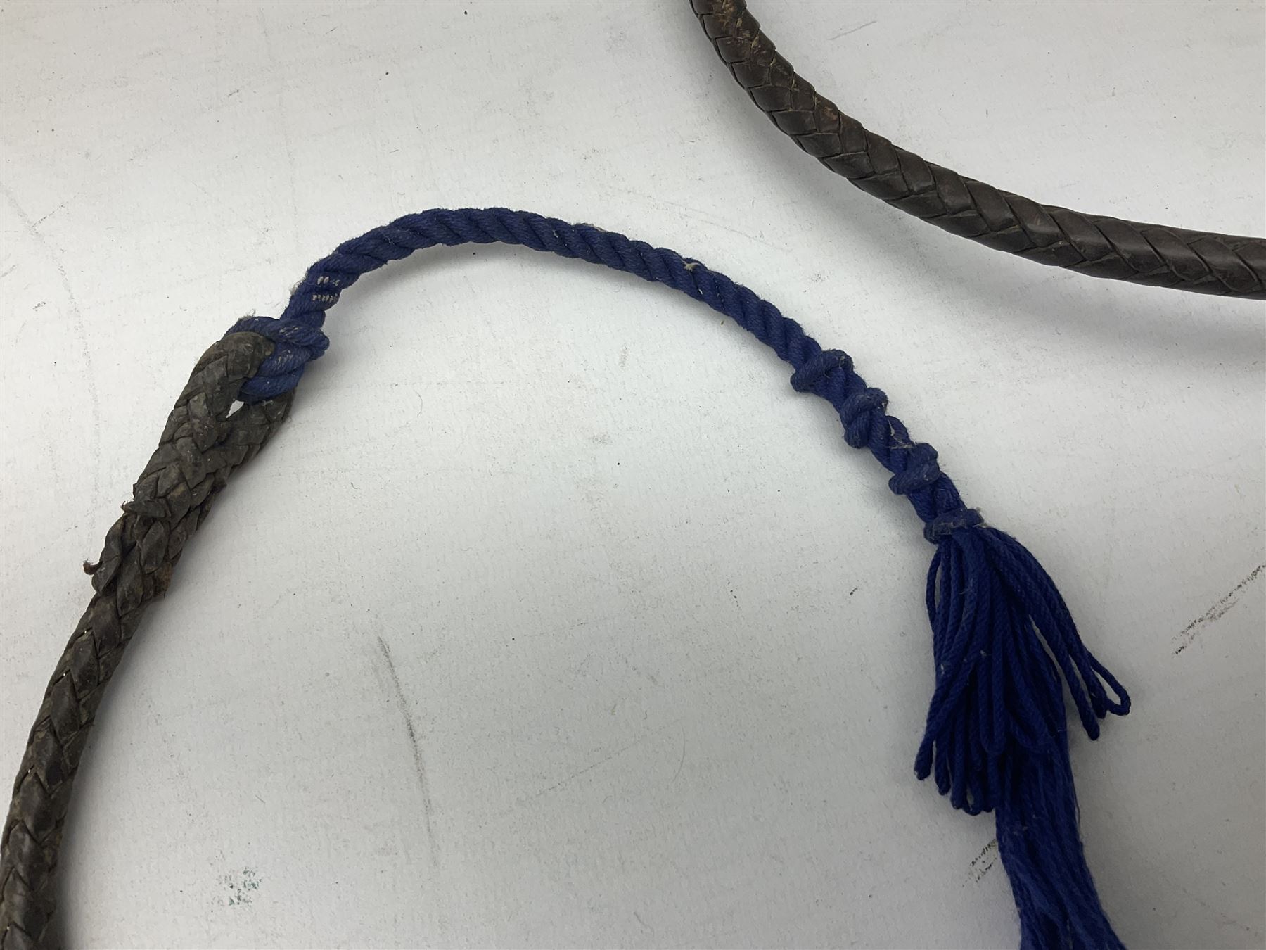 Gentleman's hunting whip, with horn handle and hallmarked silver collar, leather thong and lash, approximate L175cm