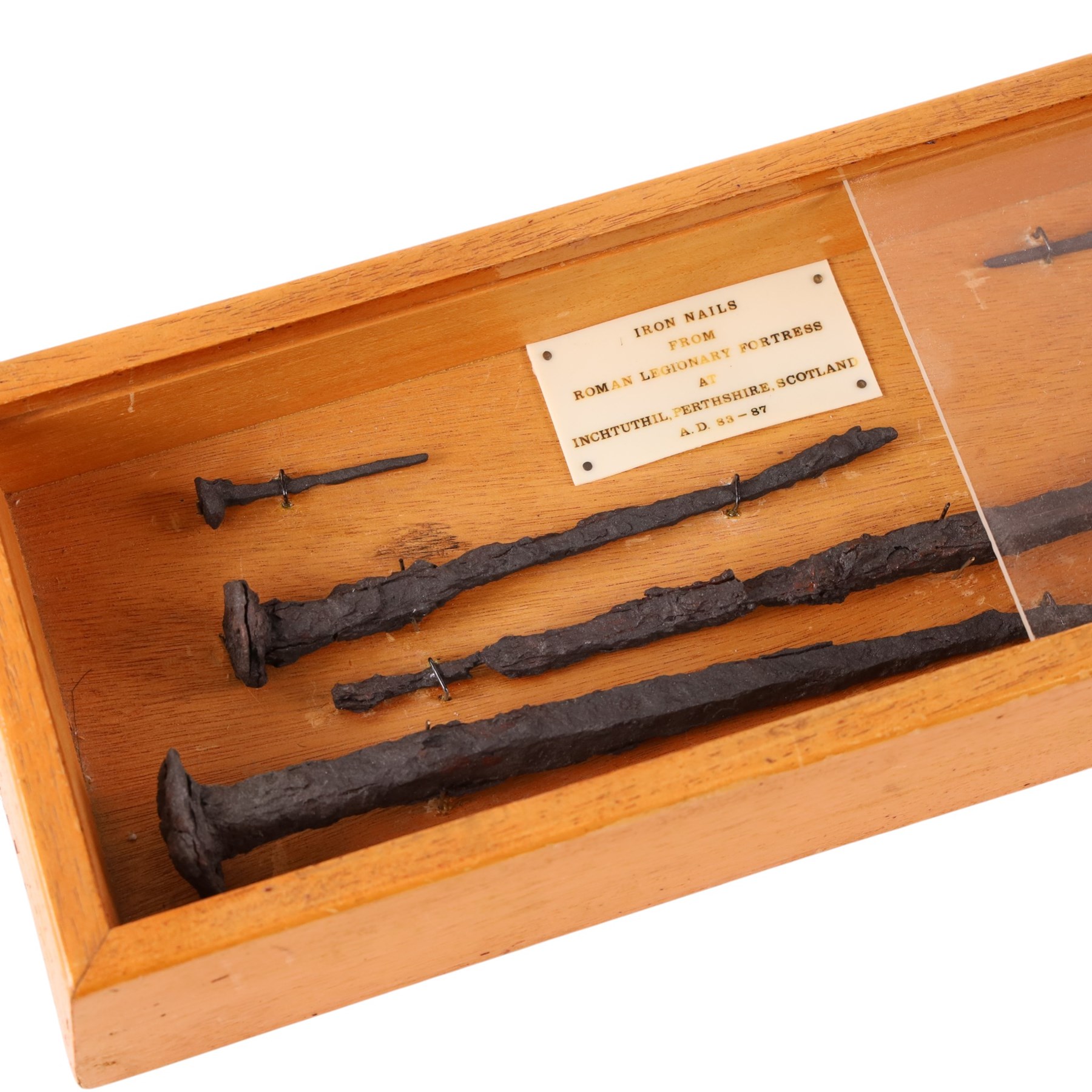 Set of Roman iron nails framed, from Roman Legionary fortress at Inchtuthil Perthshire, Scotland Ad 83-87
