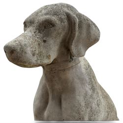 Weathered cast stone garden statue modelled as a seated pointer dog wearing a collar