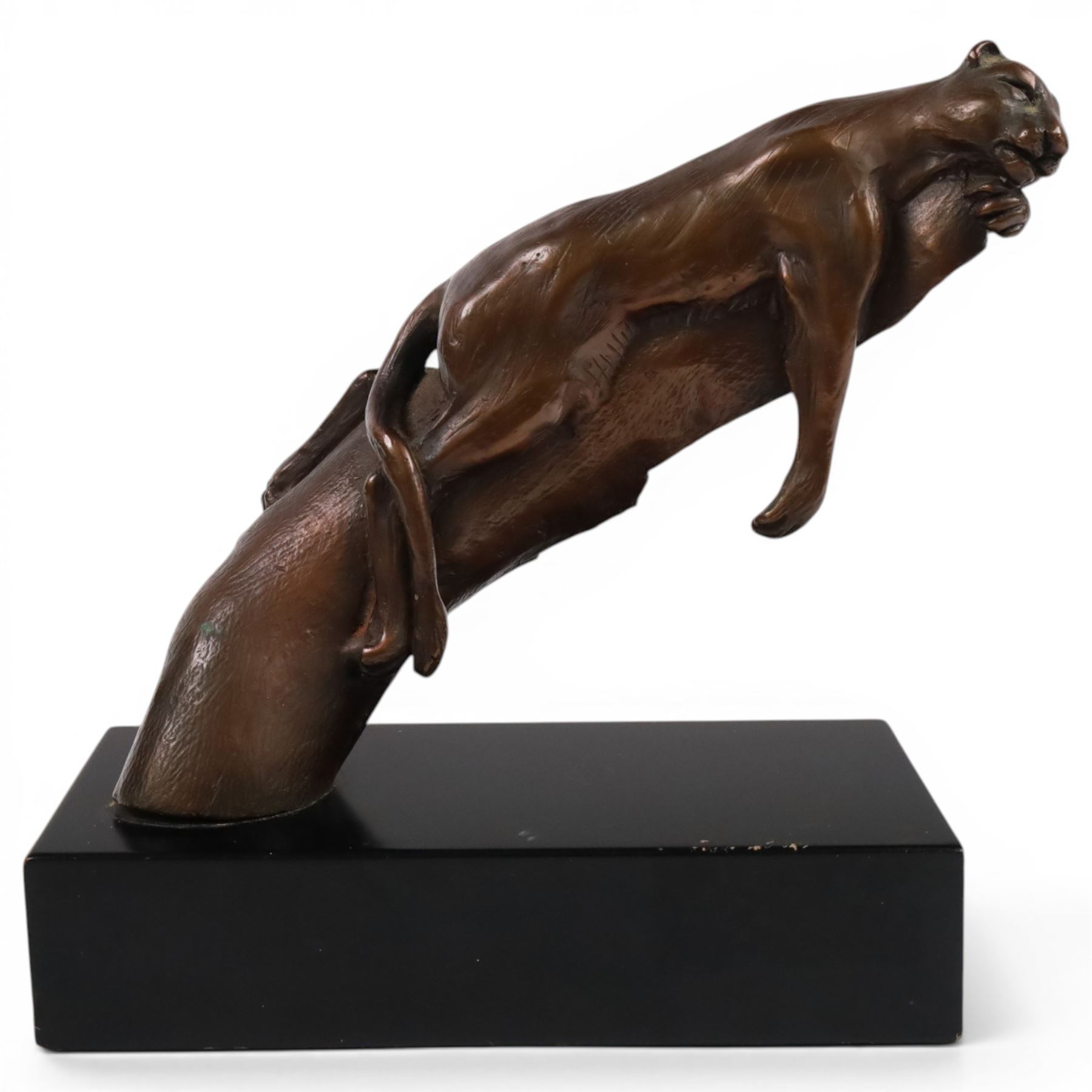 Bronze modelled as a cougar on a branch upon a rectangular wooden plinth, H24cm