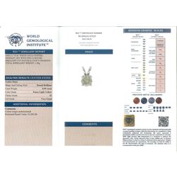 18ct white gold single stone round brilliant cut diamond pendant, hallmarked, diamond 0.98 carat, with World Gemological Institute report