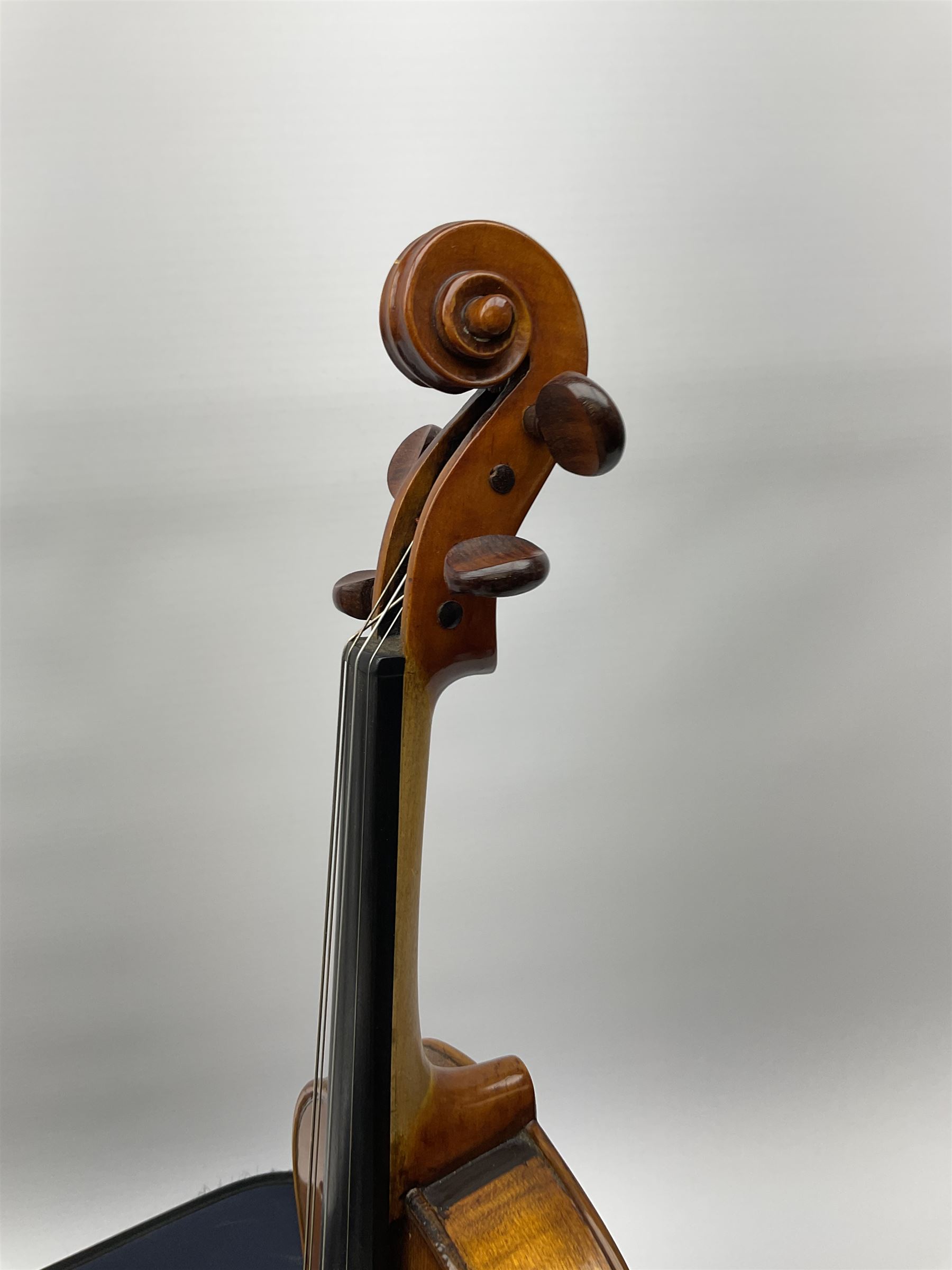 1920s continental large viola with 42cm two-piece maple back and ribs and wide grain sprucewood top with guarnerie sound holes, bears label 'Werner Alajos Budapest', overall length 69cm; in modern carrying case