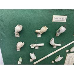 Annotated display board of clay pipes; rootwood walking stick and Yorkshire CCC signed cricket bat 2001
