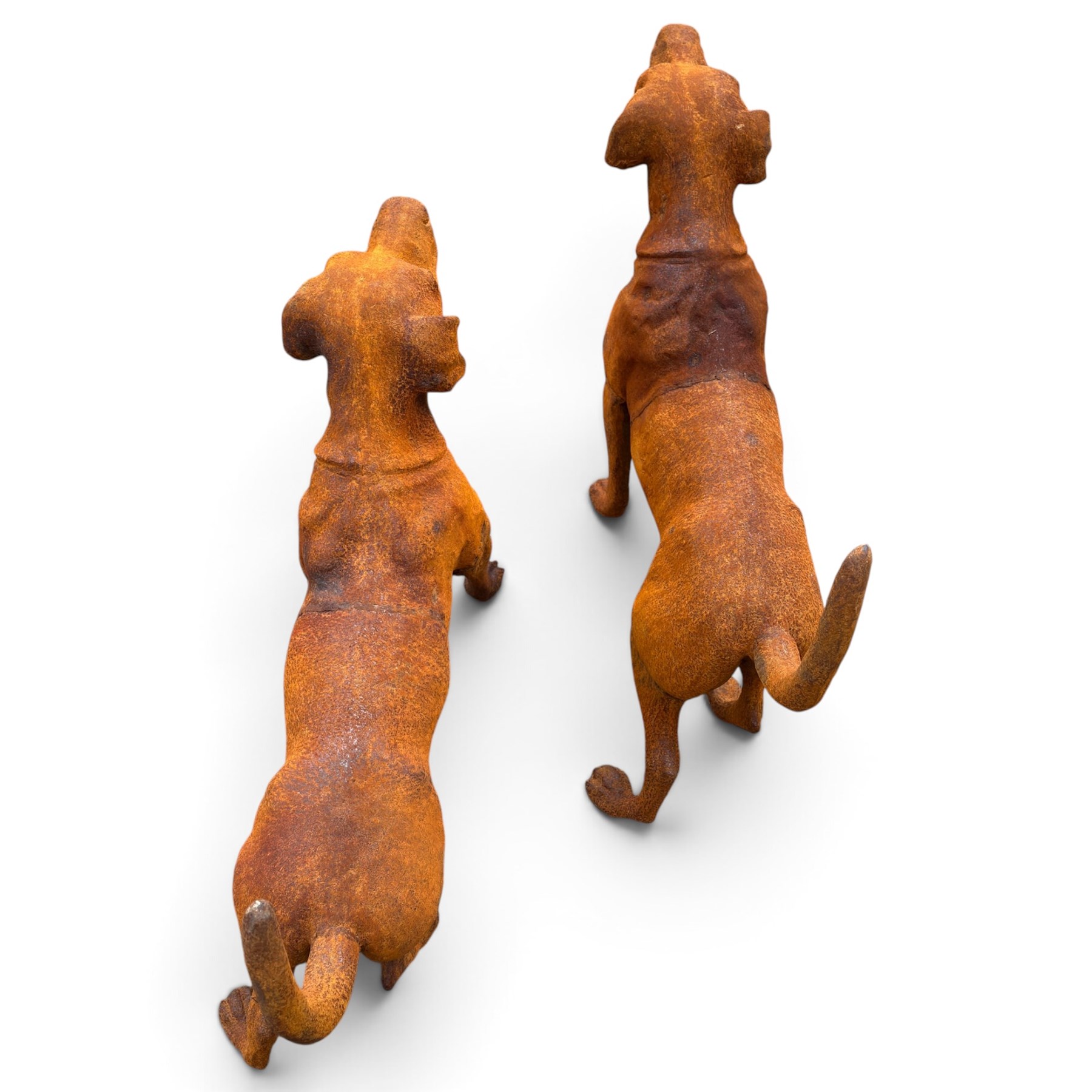 Pair of weathered cast iron garden statues in the form of standing foxhounds with outstretched tails and collars, in rusted patina