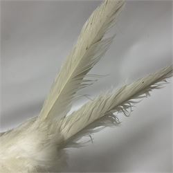 Taxidermy; pair of Common Pheasants (Phasianus Colchicus), white cock and hen adult mounts, upon a wooden base, H51cm  