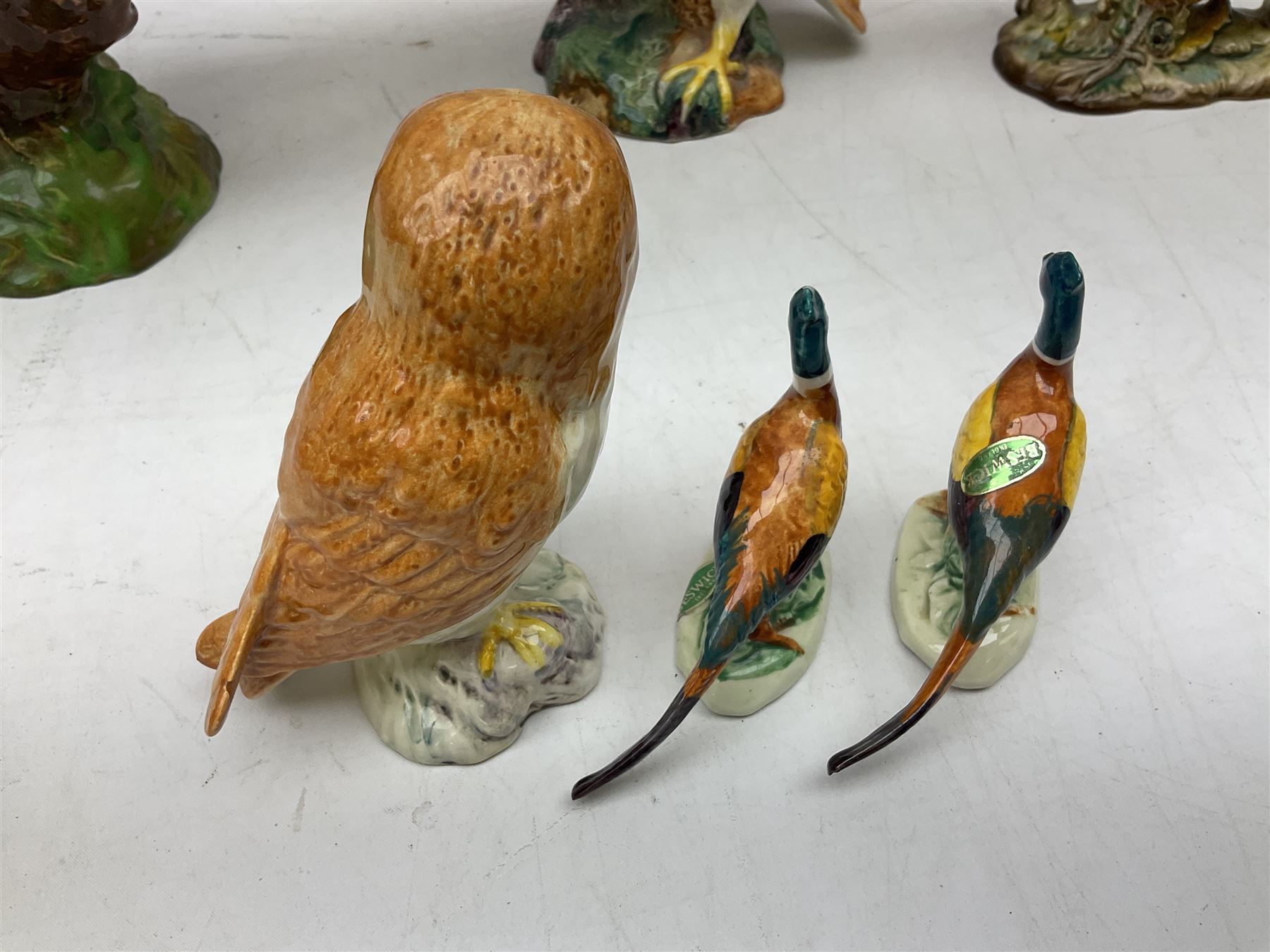 Six Beswick bird figures comprising large barn owl no.1046, small barn owl no.2026, woodpecker no.1218, pheasant no. 1226b and two small pheasants no.767a, tallest H22cm  