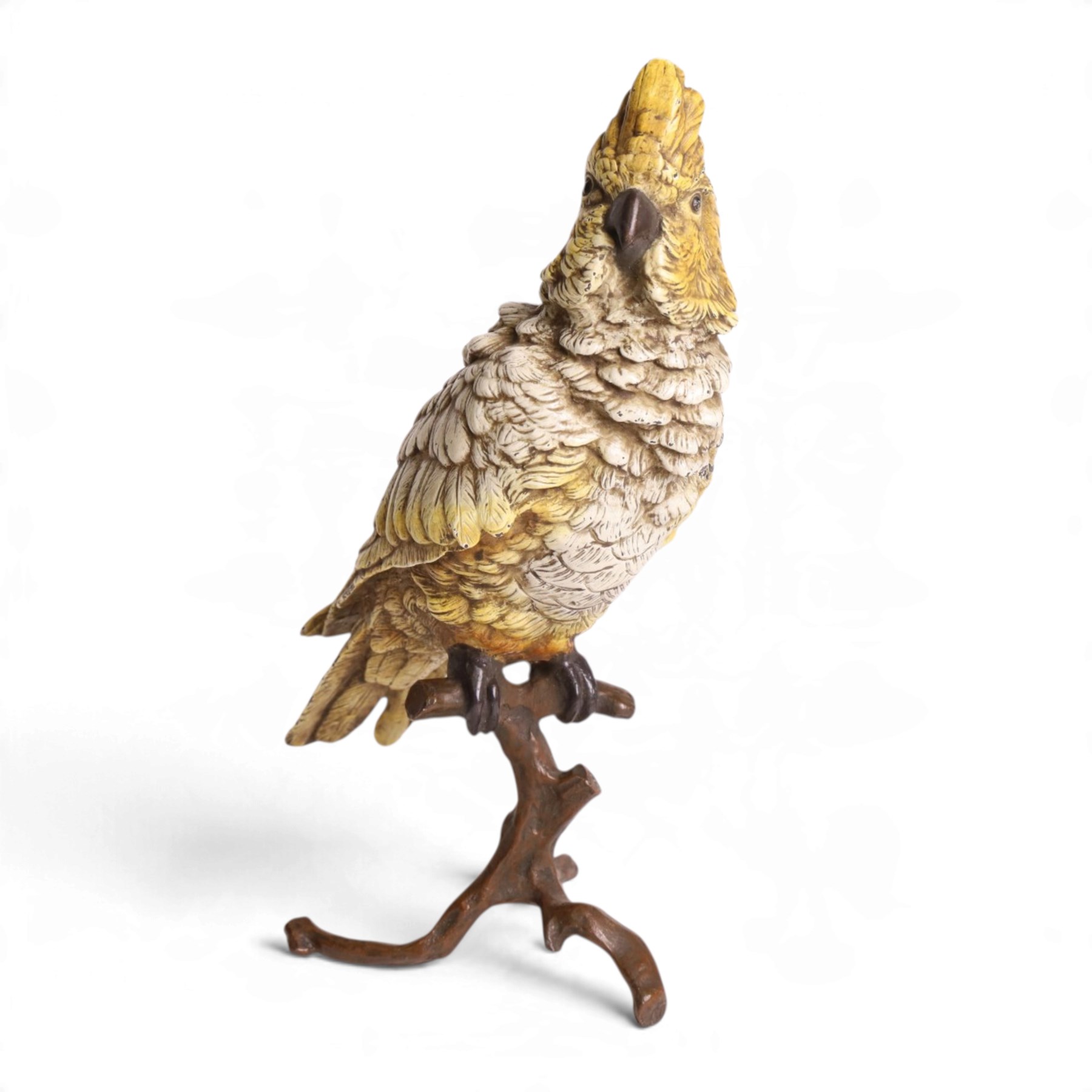 After Franz Bergman cold painted bronze model of a Cockatoo on a on a naturalistic perch base, bears stamps 'Geshutzt', H31cm
