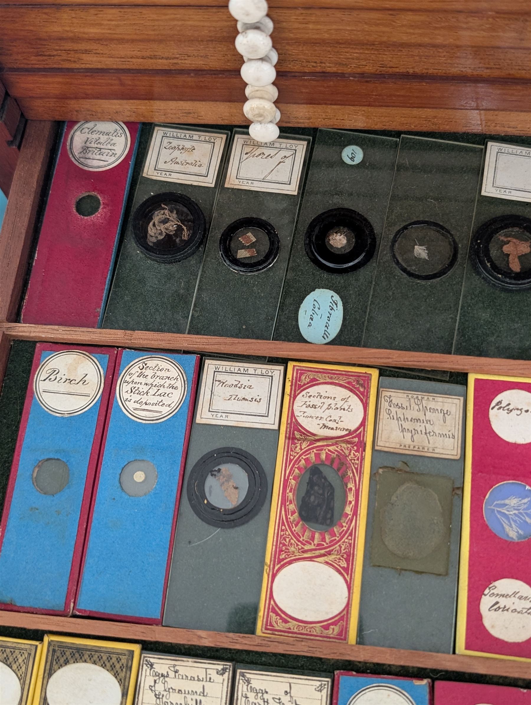Victorian collector's specimen cabinet, containing a number of prepared microscope slides including miniature photographs, animal and human pathological, physiological and histological specimens and botanical specimens, mostly annotated in ink, the cabinet with glazed door, the drawers with bone handles and lined with green felt, owned by Dr Arthur Bristow, together with a picture of the doctor, cabinet H43cm
