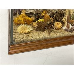 Entomology: 20th century cased moth and butterfly diorama, including Godart morpho, Chrysiridia rhipheus, Cathosia biblis, Appias lyncida, Hamadryas and others arranged amongst dried flowers and grasses, enclosed in a glass five sided terrarium display case with a wooden base, L43cm D43cm H49cm 