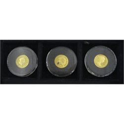 Fifteen gold coins from 'The Smallest Gold Coins of the World Collection', including Isle of Man 1989 1/25 ounce crown, Australia 1991 1/20 ounce five dollars, China 1995 1/20 ounce panda etc