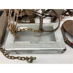 Quantity of animal traps including inset battery powered lark lure, gin traps, mole traps, mouse trap etc. Auctioneer's Note: These traps are sold as artefacts for ornamental purposes only as the use of some of them is illegal.