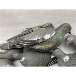 Fourteen Wood Pigeon decoys, together with camouflage netting