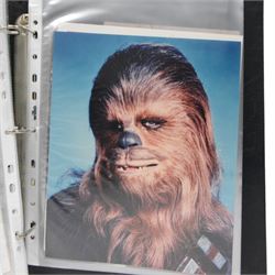 Collection of Sci-Fi signed photographs, mostly Star Wars, including Kenny Baker (R2D2), Jeremy Bulloch (Boba Fett), Michael Carter (Bib Fortuna), Phil Brown (Uncle Owen), Peter Mayhew (Chewbacca), Mike Edmonds (Logray), Warwick Davies (Wicket), Dave Prowse (Darth Vader) and Lou Ferringo (The Hulk), all dedicated, obtained at the Dave Prowse Promotions Mulitcon Event 1998 at The Norbreck Caste Hotel, Blackpool