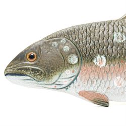 Thomas Hellström for the Swedish Nittsjö Keramik company - model of a trout, stamped verso, W55cm