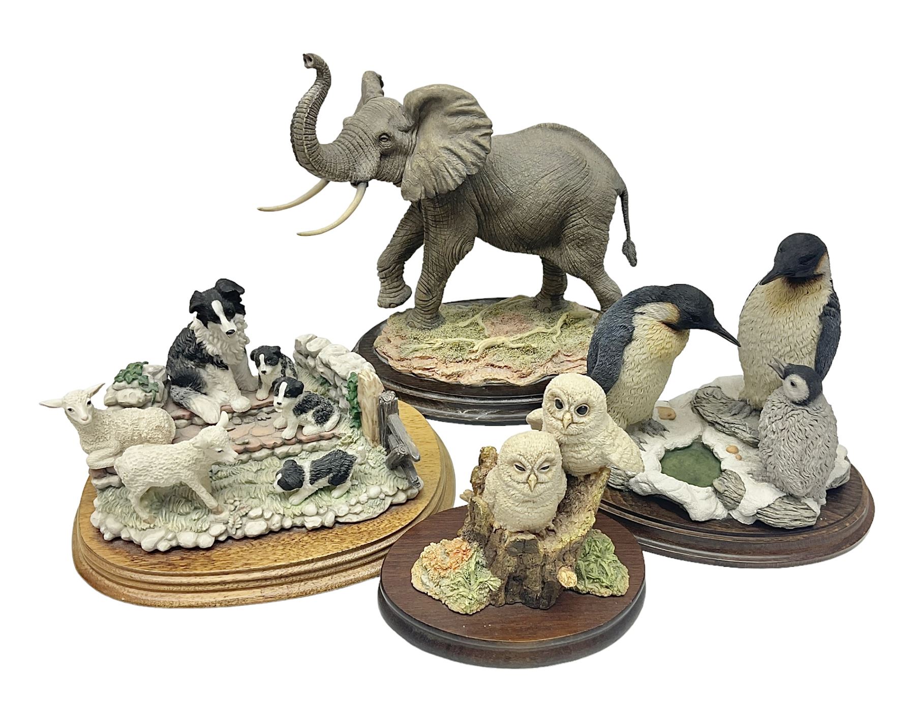 Border Fine Arts figure 'Two Owlets', together with Country Artists figures, 'Bull Elephant' and 'Penguin Family' and a Leonardo Border Collie group figure, tallest H22.5cm
