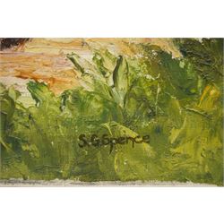 S G Spence (British early 20th century): Impressionist Farm Outbuilding Scene, oil on canvas signed 40.5cm x 50.5cm (unframed)
