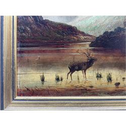 William James Smith Crampton (British 1855-1935): Highland Stag, oil on board signed 24cm x 46cm 