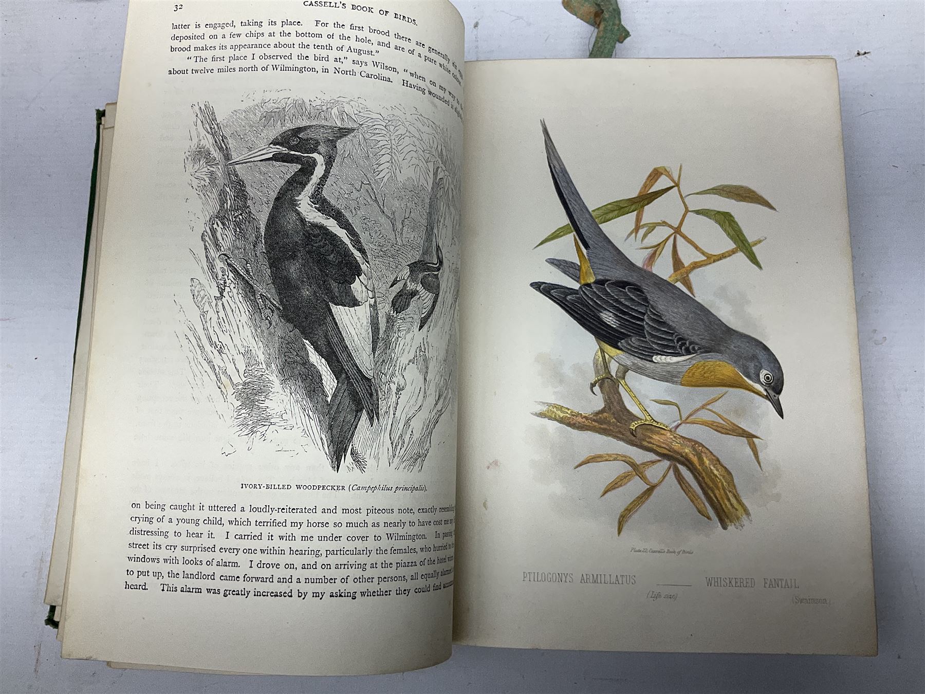 Jones, Thomas Rymer; Cassell's Book of Birds, London, Cassell, Petter & Galpin, volumes I & III, with coloured plates, Hamerton, Peter Gilbert; Landscape, London, Seeley & Co, two copies and The Garden An Illustrated Weekly Journal of Horticulture in all its Branches, London, with coloured plates  