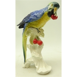  Karl Ens model of a parrot perched upon a branch eating cherries, H24cm   