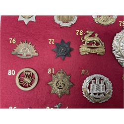 Twenty-two glengarry and cap badges including Argyll & Sutherland, Devonshire, Essex, Hampshire, Royal Berkshire, Northamptonshire, Long Range Desert Group, Royal Corps of Signals, Norfolk, Dorsetshire, East Lancashire etc; mounted on a board for display