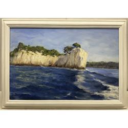 Neil Tyler (British 1945-): 'Southern France - A Calanque somewhere between Cassis and Marseilles', oil on canvas signed, titled verso 50cm x 75cm
