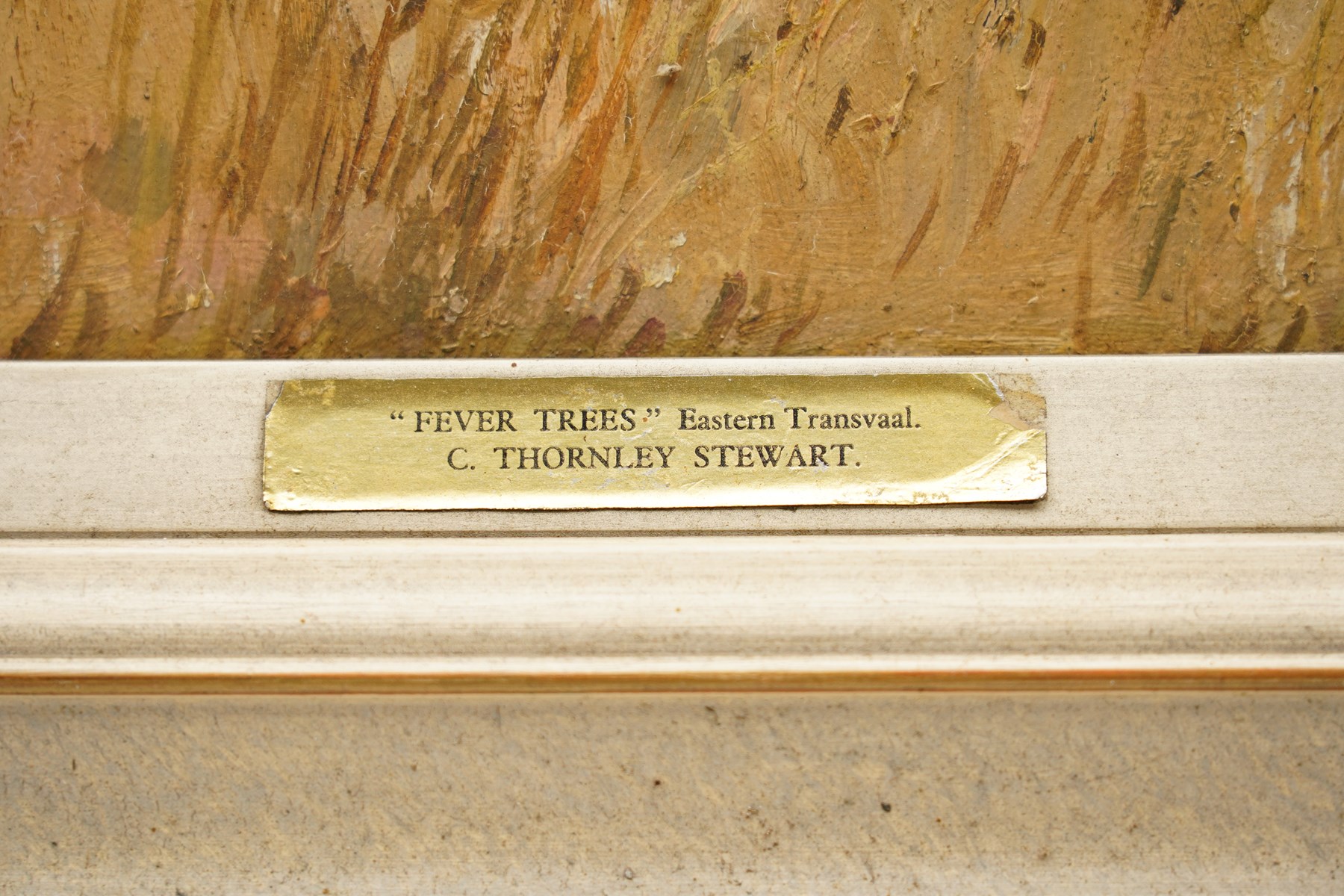 Cecil Thornley Stewart (South African 1881-1967): 'Fever Trees - Eastern Transvaal', oil on board signed, titled on the mount 55.5cm x 76cm
