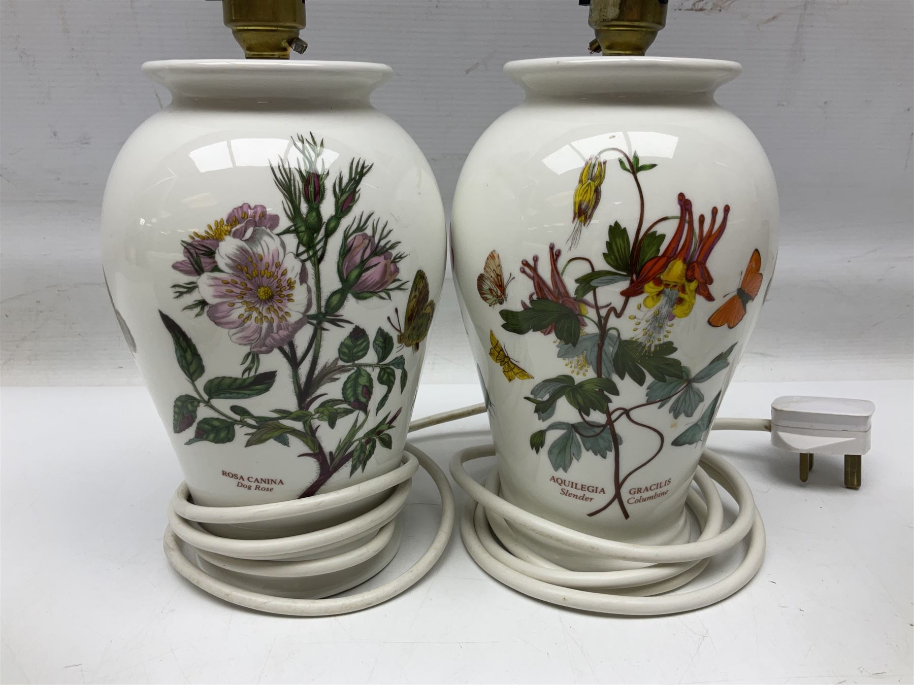 Two Portmeirion Botanic Garden table lamps, together with two Portmeirion Botanic Garden planters