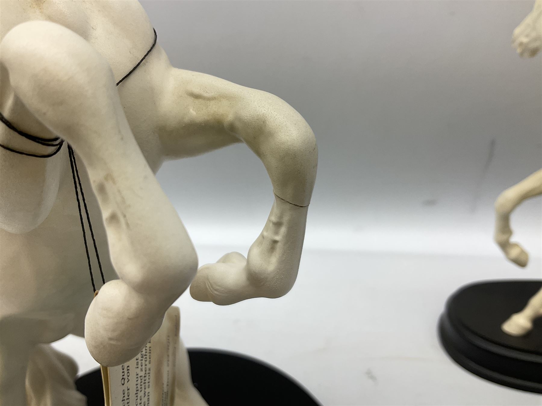 Six Royal Doulton horse figures in a matt finish on plinths, to include Spirit of the wind, Spirit of the wild, Springtime etc