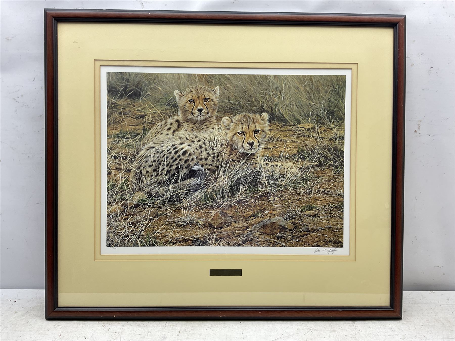 Alan M Hunt (British 1947-): 'Little Princes' - Tiger Cubs, limited edition print signed and numbered 274/450 in pencil 41cm x 56cm; Two Tigers, limited edition monochrome print signed and numbered 593/950 in pencil 20cm x 36cm; together with two further prints of tigers by other artists 23cm x 19cm and 42cm x 53cm (4)