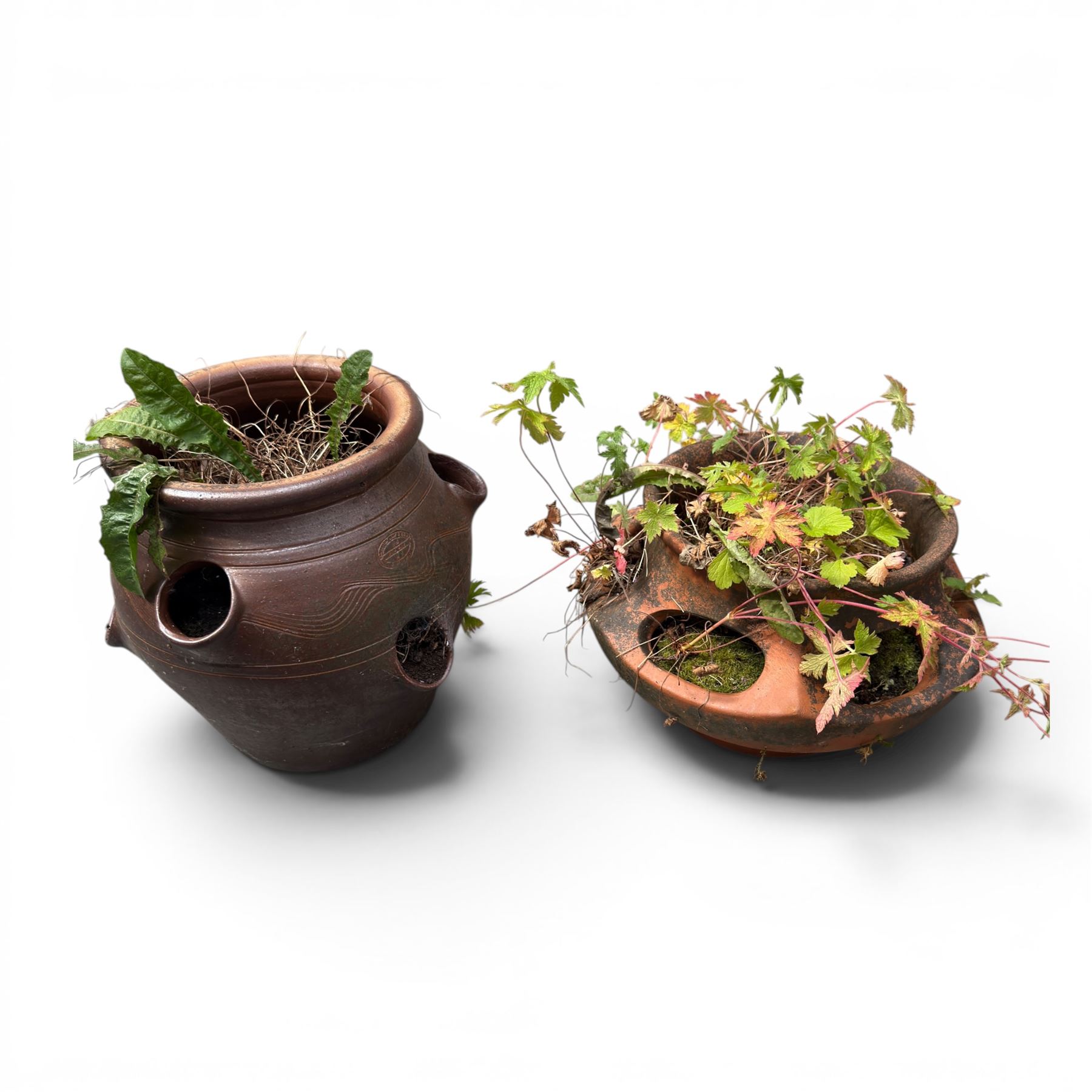 Collection of garden platers including two strawberry pots, cast stone planter, chimney top and two terracotta drain surrounds
