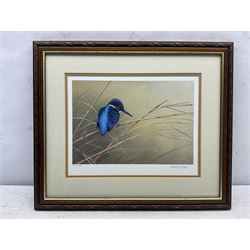 Robert E Fuller (British 1972-): 'Kingfisher on Reeds', limited edition colour print signed and numbered 249/300, 24cm x 32cm