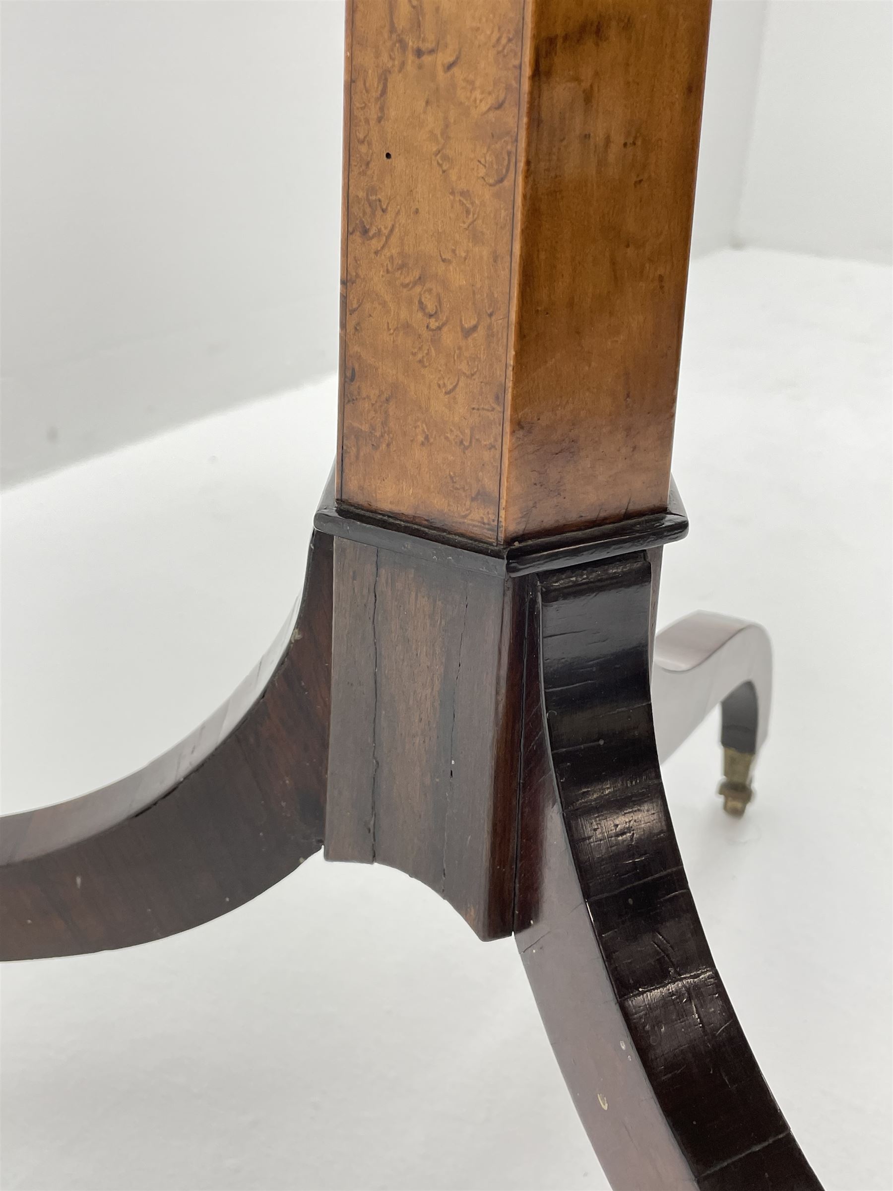 Regency style birdseye maple and rosewood tripod table, hexagonal tilt top with segmented veneer and banding, tapered hexagonal column on three splayed serpentine supports, brass cups and castors 