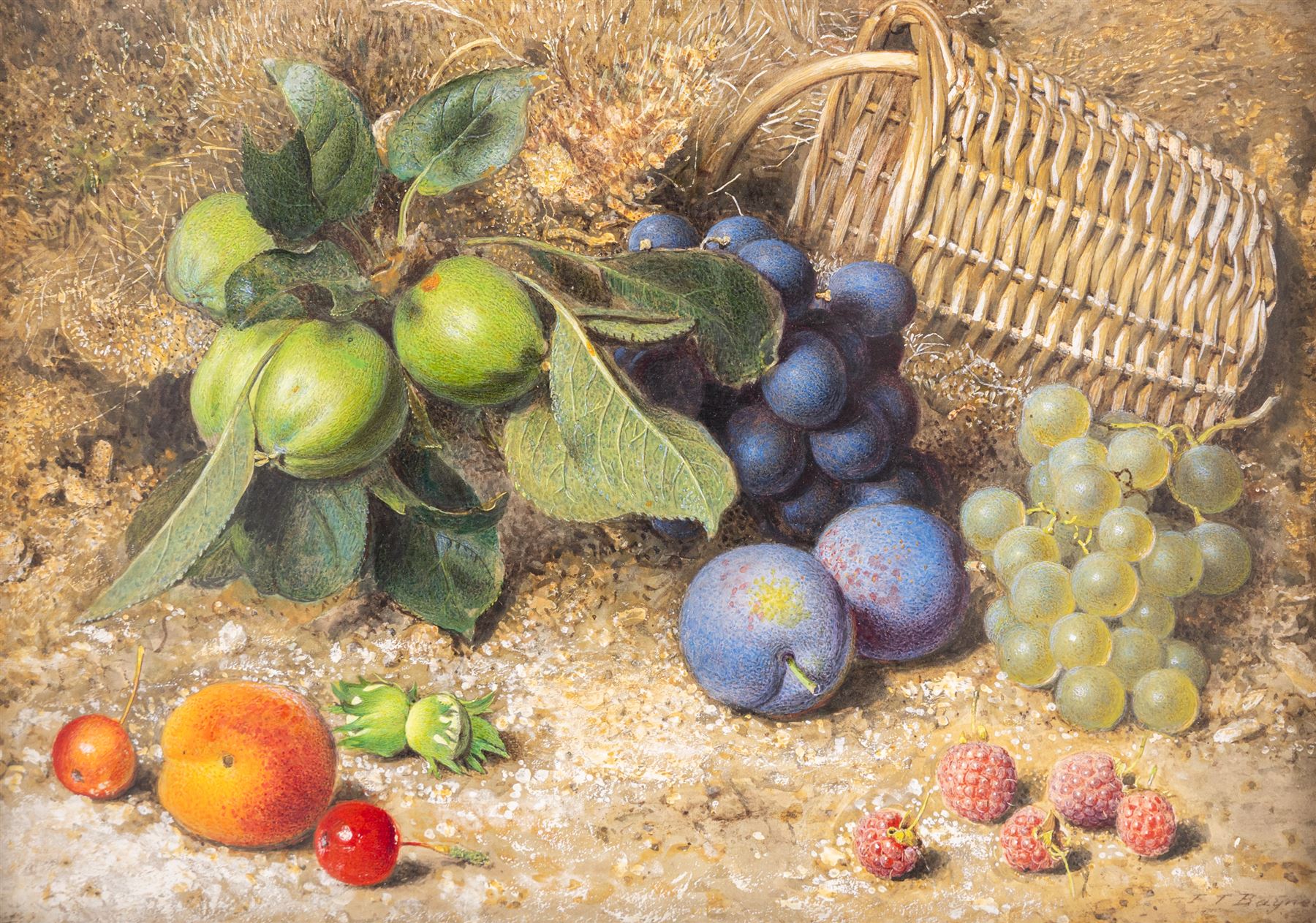 Fredrick Thomas Baynes (British 1824-1874): Still Life of Fruit and Basket, watercolour heightened with white signed 25cm x 34cm 
