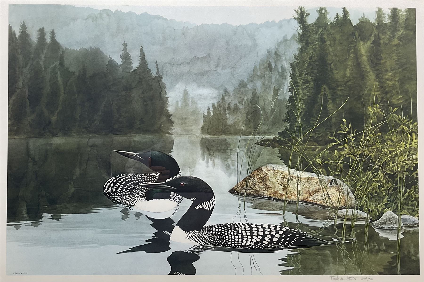 Frank DeMatteis (Canadian 1952-): Great Northern Divers, limited edition print signed and numbered 244/500, 58cm x 87cm