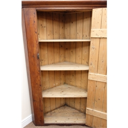  Early 20th century large pine floor standing corner cupboard, moulded cornice, single door enclosing three shelves, W113cm, H170cm, D46cm  
