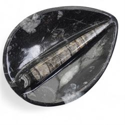 Petrified wood dish, three spiral fossil dishes and other similar examples, and a collection of shells