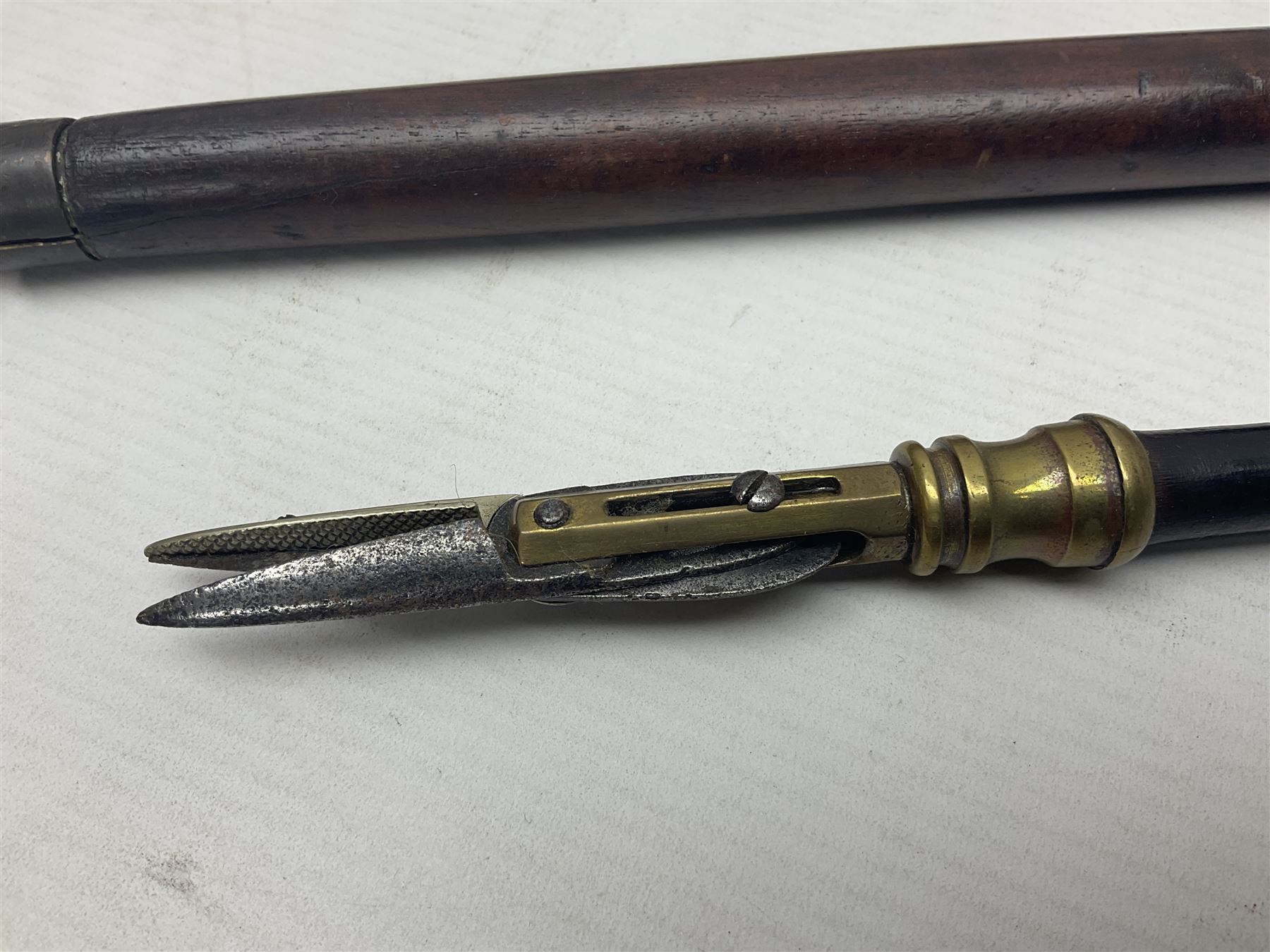 Two late 19th century fruit picker canes, the first example a French ebonised bamboo cane, with pair of fruit scissors to base, the handle stamped Cueille Fruit, the second example with grabbing action, the cap stamped A C Harris, Leicester, together with two other 19th century canes, one with fork and the other with hoe