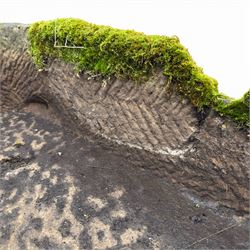 19th century stone water trough