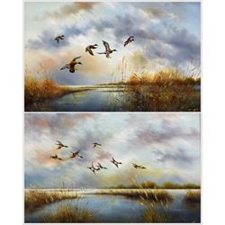 Hugh Shipp (British 20th Century): 'Mallards Return' and 'Shovelers Coming Inland', pair of oils on canvas board signed with monogram, titled and dated 1982 verso 17cm x 24cm (2)