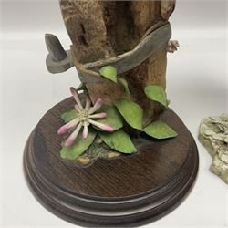 Border Fine Arts figure Barn Owl in Flight B1532, boxed with certificate, together with Country Artists figure Tawny Owl with Honeysuckle CA441, tallest H31.5cm