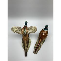 A collection of Beswick figures, comprising ginger cat model no 1898, ginger Persian kitten model no 1886, pheasant in flight model no 849, and pheasant model no 1226b.  