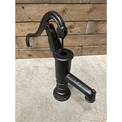 Small cast iron water pump