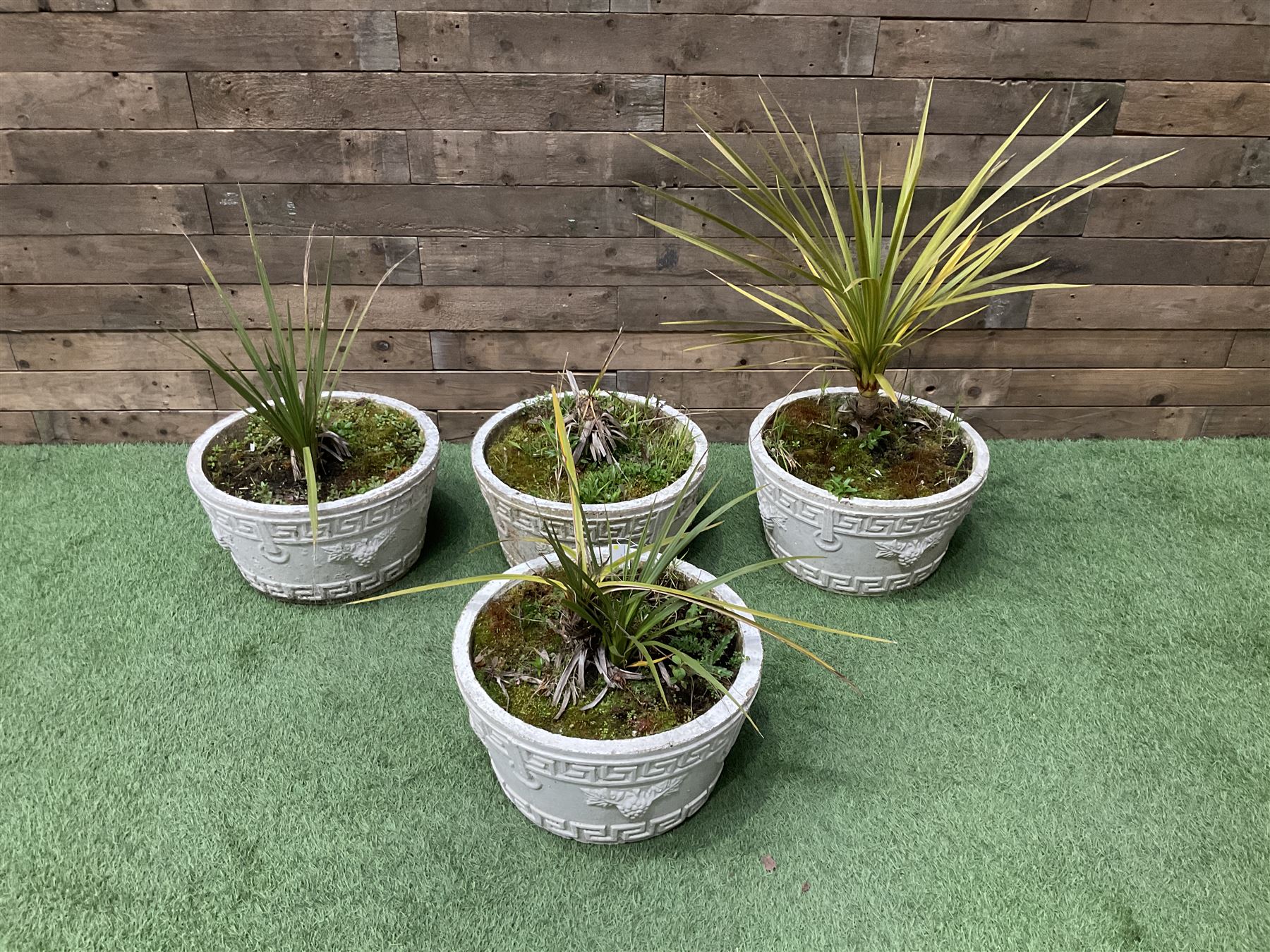 Four cast stone circular planters in white - THIS LOT IS TO BE COLLECTED BY APPOINTMENT FROM DUGGLEBY STORAGE, GREAT HILL, EASTFIELD, SCARBOROUGH, YO11 3TX