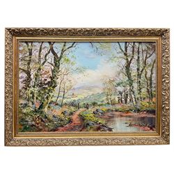 John Corcoran (British 1942-): Hilly Landscape, oil on canvas signed 49cm x 75cm