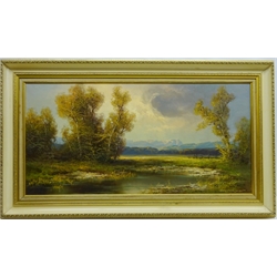  Continental Mountainous River Scape, 20th century oil on canvas signed by Hans Wagner 40cm x 80cm   