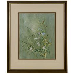 Ann Soper (British 20th century): Butterfly among Wildflowers, gouache signed 35.5cm x 28cm