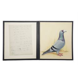 Harry Hoyle (Early 20th Century): Racing Pigeons - 'Blue Dragoon Cock 06-30' 'Blue Dragoon Hen 33-3330' and 'Blue Dragoon Cock 1918-22', set of three pencil and watercolours heightened with white, each signed and dated 1933 or 1934, accompanied with the winning history of each pigeon, each approx. 20.5cm x 18cm (3)