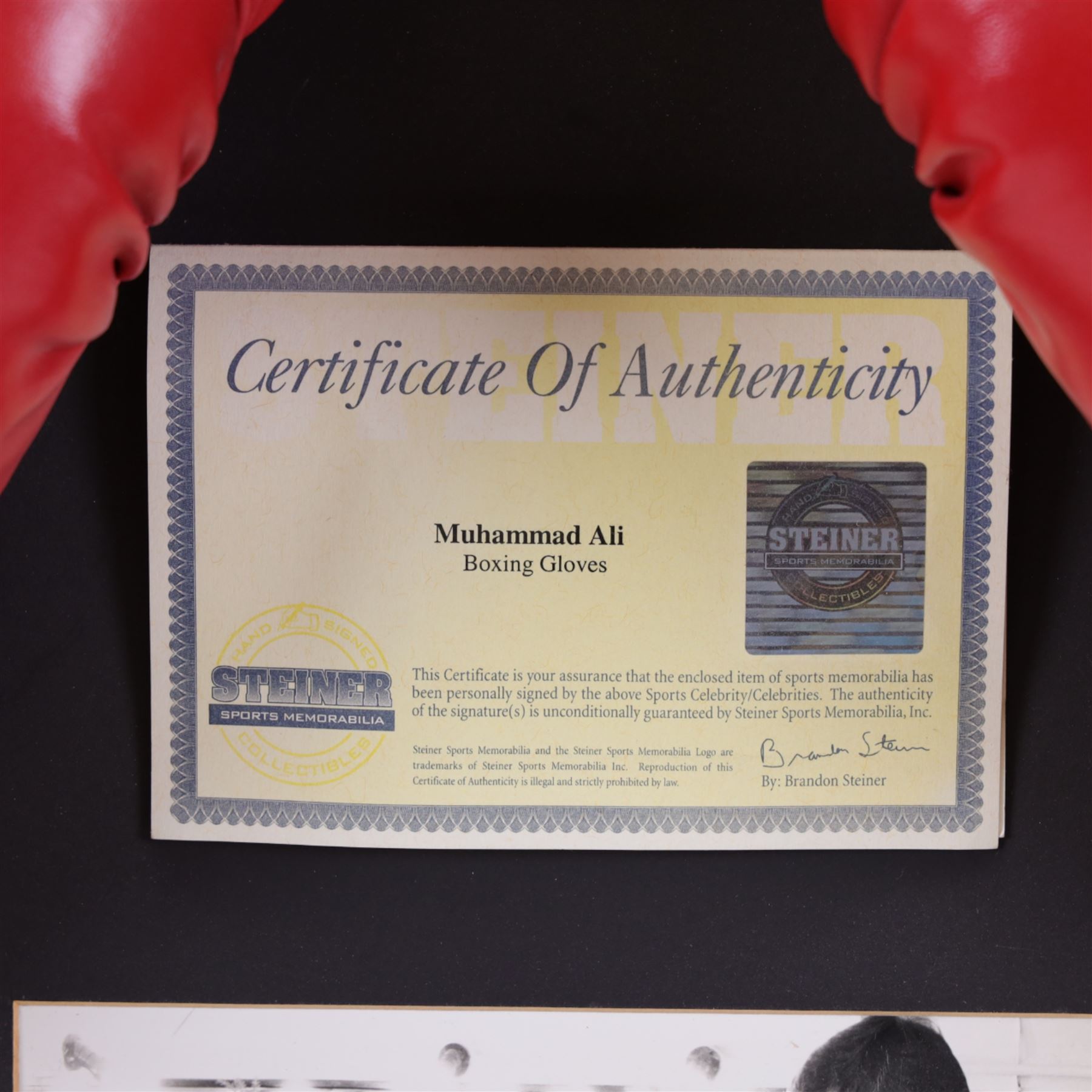 Large framed display containing two Everlast boxing gloves, one signed Mohammed Ali, displayed in frame with black and white photograph of Mohammed Ali speaking with Michael Parkinson, the signed glove has a Steiner authenticity hologram affixed and comes with certificate of authenticity from Steiner Sporting Memorabilia, frame H73cm