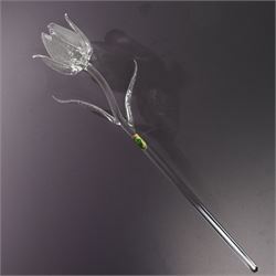 Set of six Waterford Crystal flowers, to include Fleurology Sunflower, Tulip, Lily, Rose, and others not Fleurology comprising Orchid and Calla Lily, in original boxes