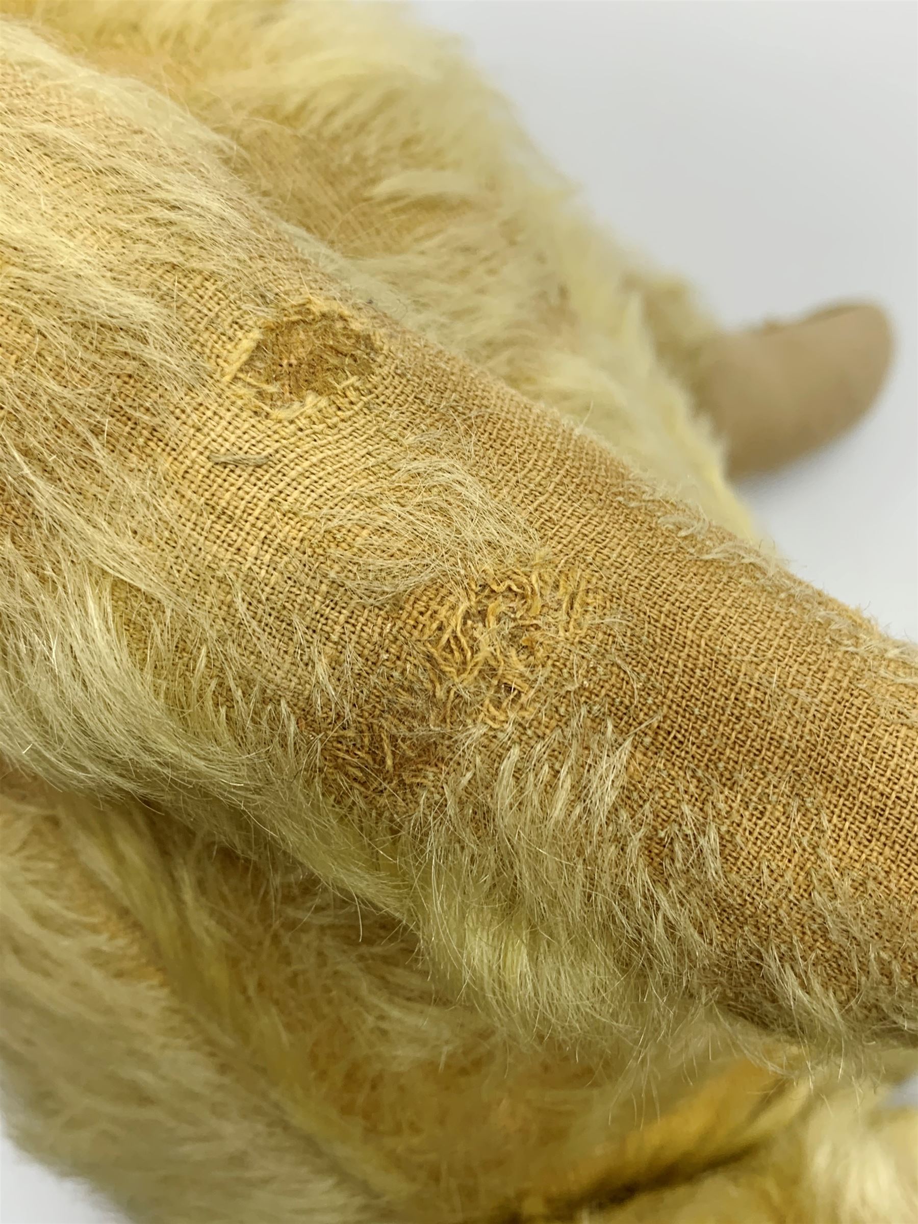 1930s teddy bear, possibly Farnell, with wood wool filled blond mohair body, the revolving head with original clear glass eyes, shaved muzzle with vertically stitched nose and mouth and jointed limbs with five-stitch claws H18.5